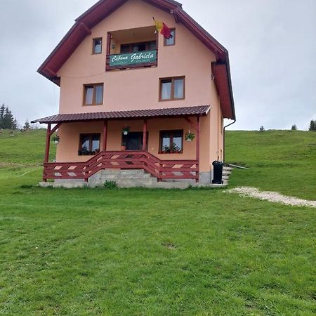Cabana Gabriela Gîrda de Sus エクステリア 写真