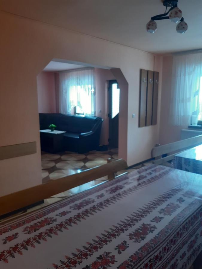 Cabana Gabriela Gîrda de Sus エクステリア 写真