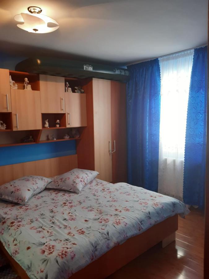 Cabana Gabriela Gîrda de Sus エクステリア 写真